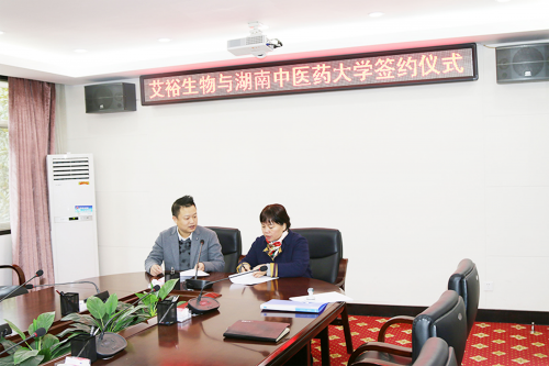 艾浴日“邂逅”端午節，傳統習俗有了新玩法