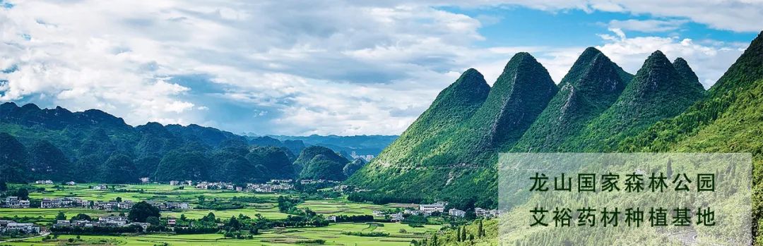 優(yōu)選品牌 值得信賴