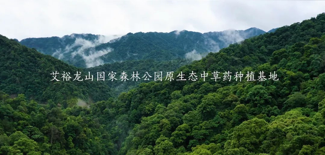 “裕我同行”丨選對產品,助攻保護力UP! “裕我同行”丨選對產品,助攻保護力UP!