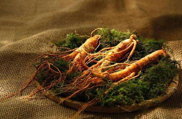 QQ20241126-093856.png QQ20241126-093856.png