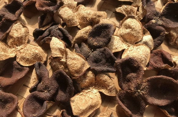 QQ20241125-091405.png QQ20241125-091405.png