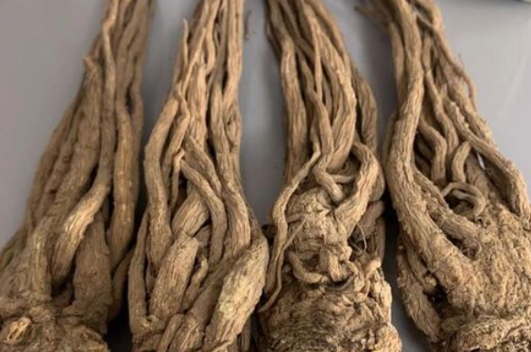 QQ20241220-134929.png QQ20241220-134929.png