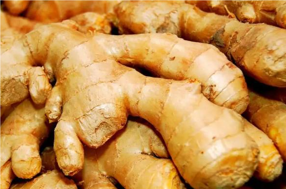 QQ20240828-135752.png QQ20240828-135752.png