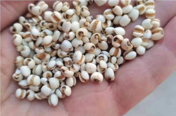 QQ20240828-135659.png QQ20240828-135659.png