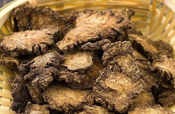 QQ20240925-082355.png QQ20240925-082355.png