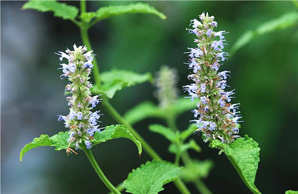 QQ20240905-101654.png QQ20240905-101654.png