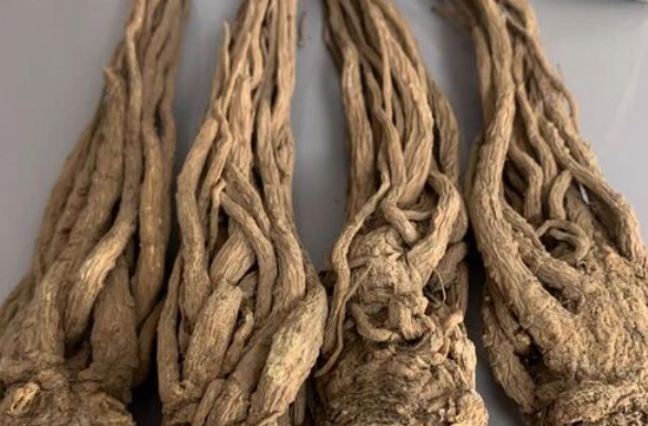 QQ20250203-102647.png QQ20250203-102647.png